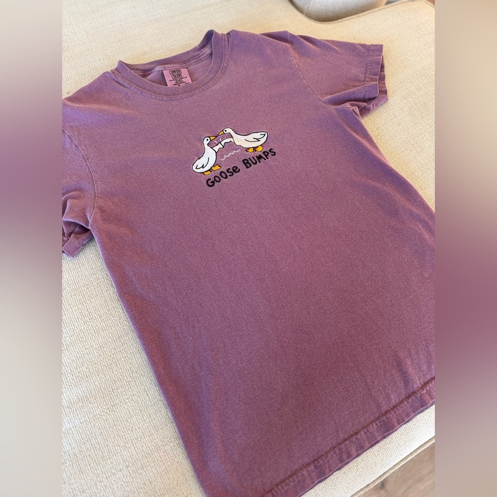 Silly Goose Comfort Color t shirt